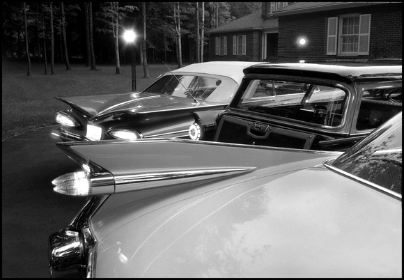 Fins in the Fifties Fins in the Fifties