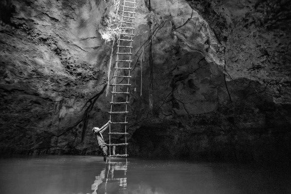 Boy in the ladder Boy in the ladder