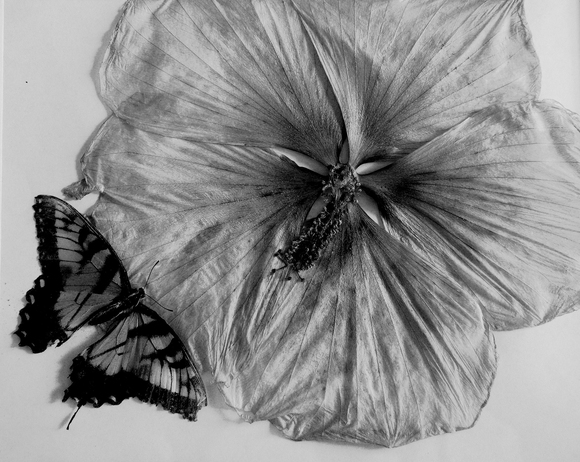 Art Imitating Life Art Imitating Life