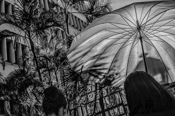 Shady Grove Shady Grove