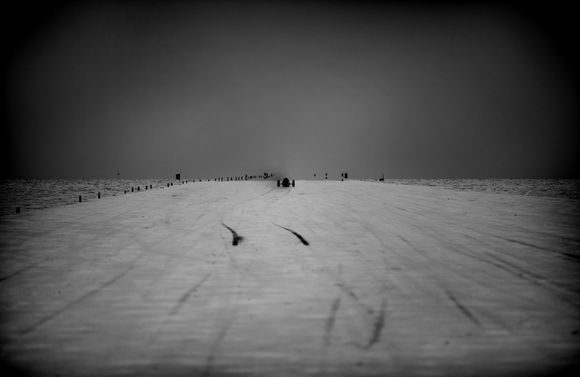 Speed Week Speed Week