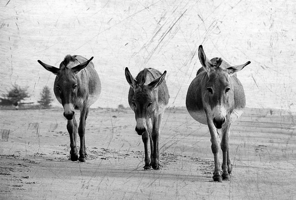 Father, Mother and their Son Father, Mother and their Son