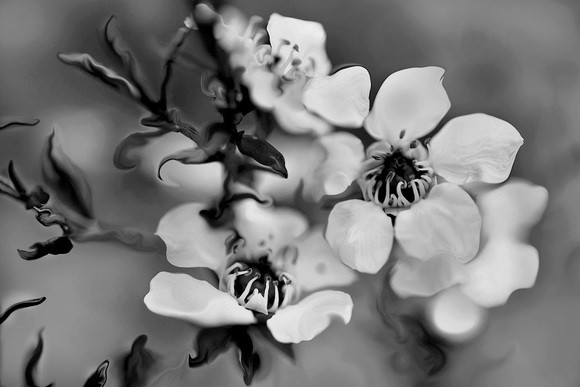 Tales from the Enchanted Glen 1 The Darker Side Tales from the Enchanted Glen 1 The Darker Side