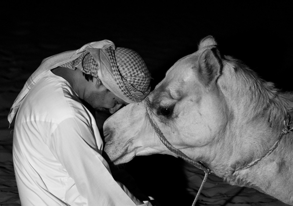 Bedouin Kiss