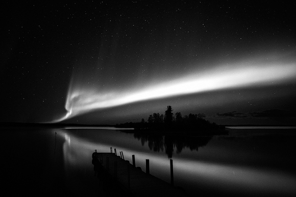 The Whole of Mother Nature The Whole of Mother Nature