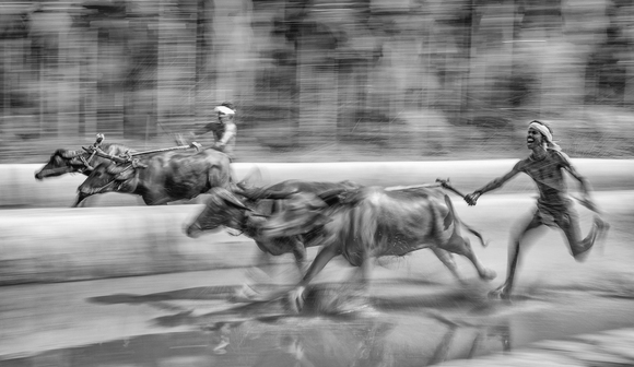 Kambala Kambala