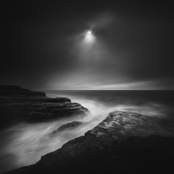 Dark Beauty  Dark Beauty