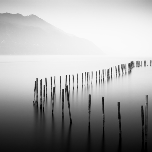 Stick Fence, Lake Bourget, France