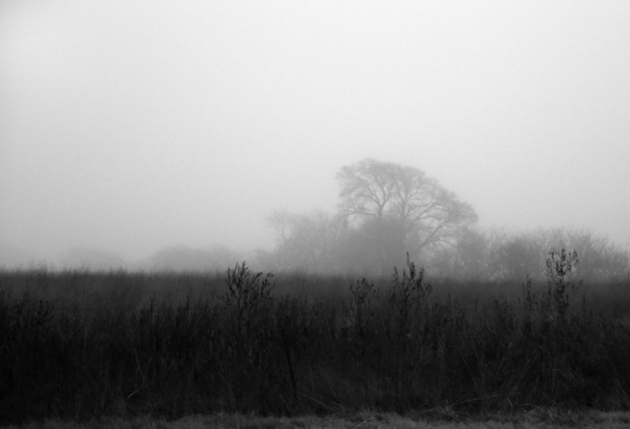 Morning Fog (1)