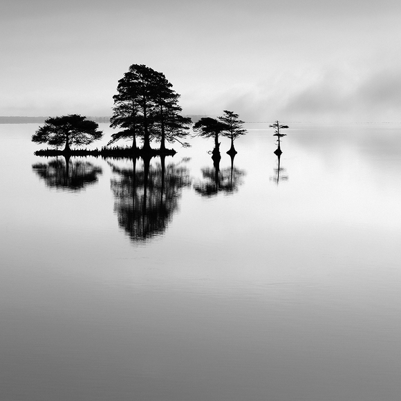 Friends and Family Friends and Family