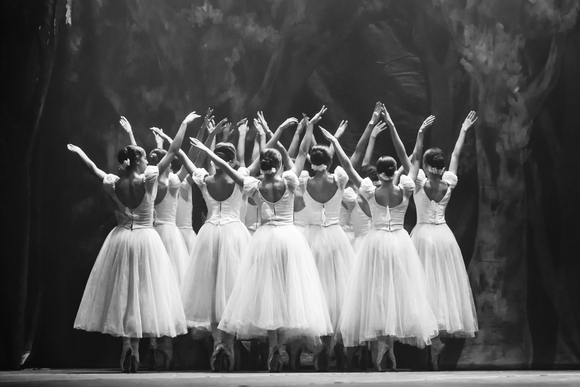 Monolithic Monolithic