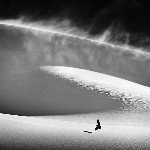 The Dunes, The Sun and The Wind Lover The Dunes, The Sun and The Wind Lover