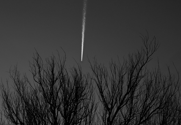Late Evening Contrail Over Nebraska Cottonwoods Late Evening Contrail Over Nebraska Cottonwoods