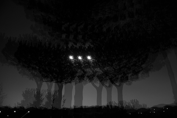 Lucchesia 5961 Lucchesia 5961