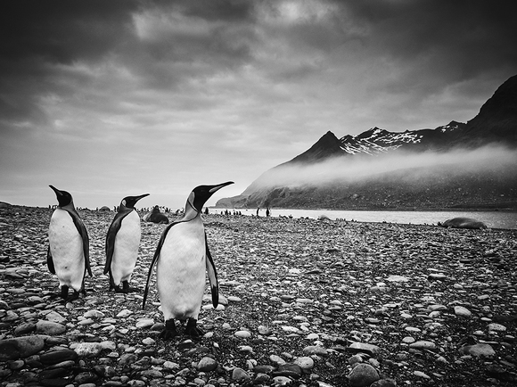 Don't Look Now Don't Look Now