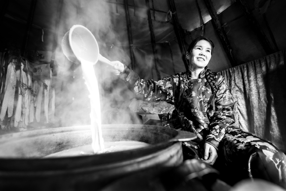 Reindeer milk Reindeer milk