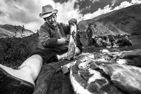 Reindeer slaughter Reindeer slaughter