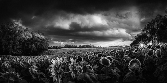 Last Light  Last Light