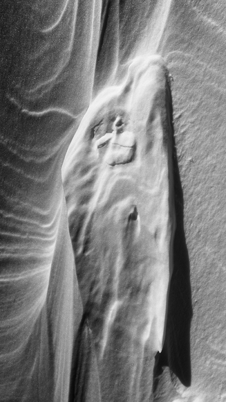 Persistence of Eden or forbidden fruit Persistence of Eden or forbidden fruit