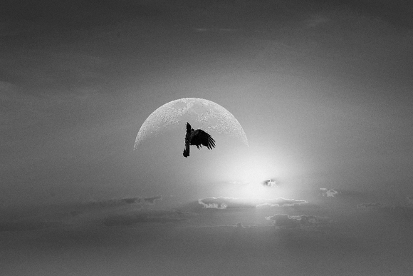 Through hardships to the stars Through hardships to the stars