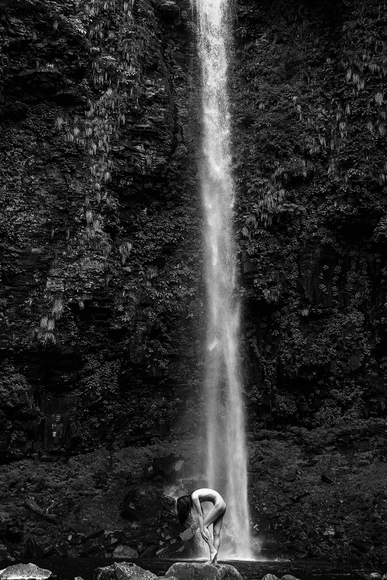 meditation  meditation