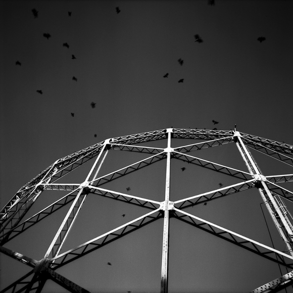 The Birds Flying Over Ex-gasometers, Milan