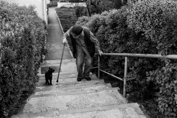 Old Man and a Stray Cat