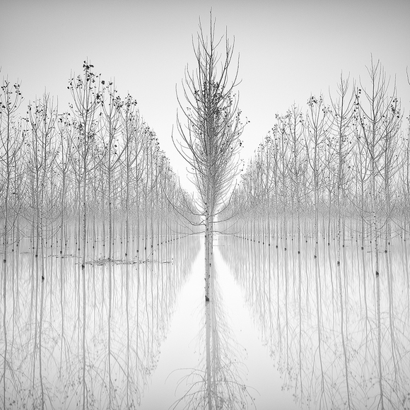 Graphical Nature I Graphical Nature I