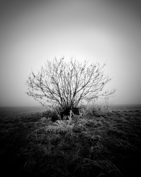 Camera Obscura 1 Camera Obscura 1