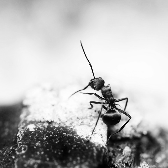 Leave me alone #2 Leave me alone #2