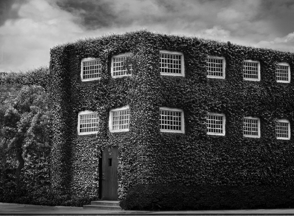 Hedge House Hedge House