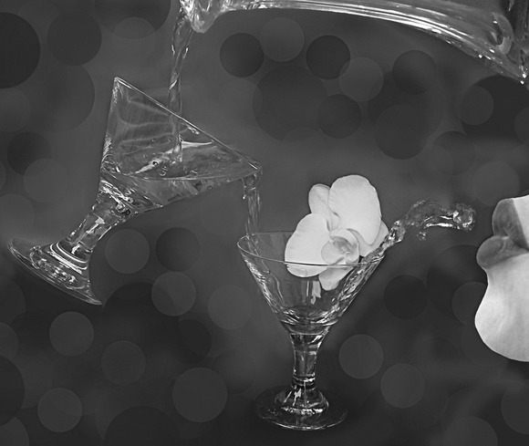 Wet my Whistle Wet my Whistle