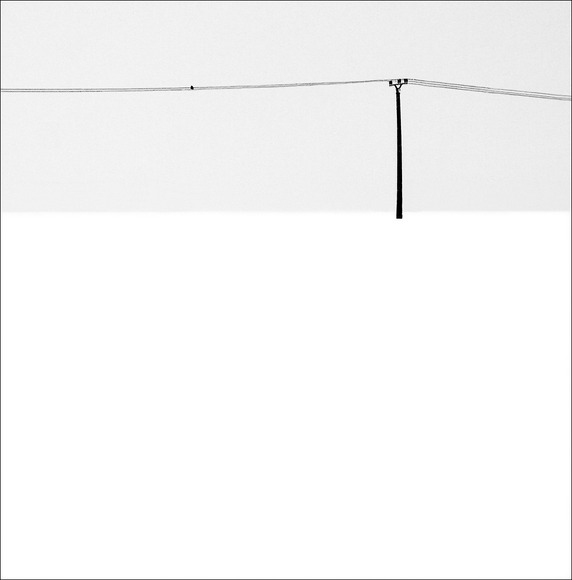 Haiku 4550. With a wry pole and a bird Haiku 4550. With a wry pole and a bird