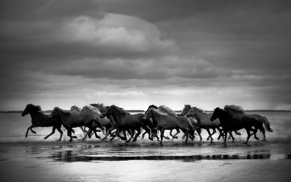 The Crossing The Crossing