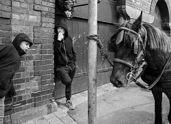 Dublin Horse Boys