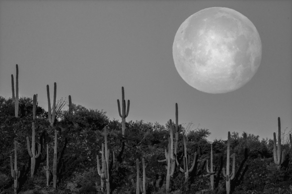 Moonset over Sonoran Desert Arizona