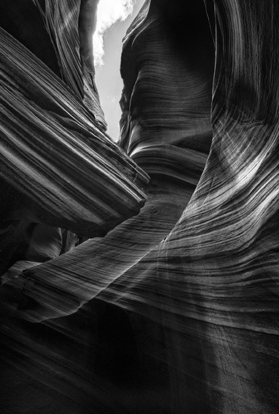 Eagle Head Eagle Head