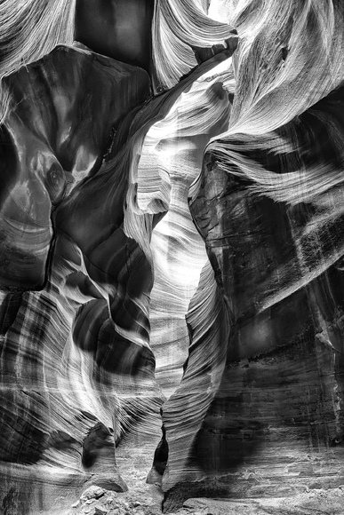 Glory in the shadows Glory in the shadows