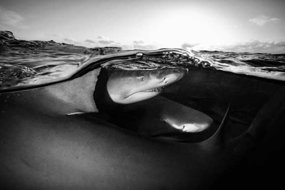Shallow  Shallow