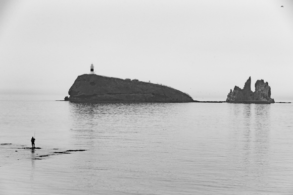 fishing whale fishing whale