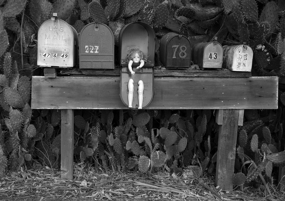 Mailboxes With Character