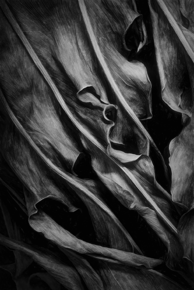 Within the Decay Within the Decay