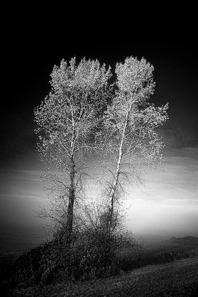 Autumn Light Autumn Light