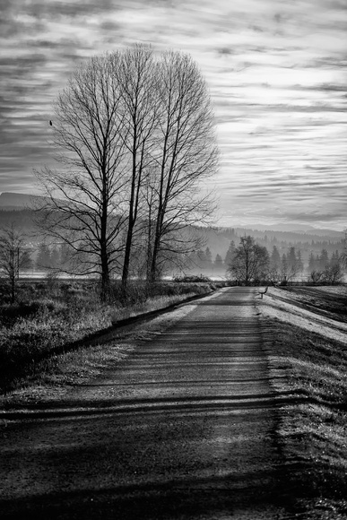 TIL OUR PATHS CROSS AGAIN TIL OUR PATHS CROSS AGAIN