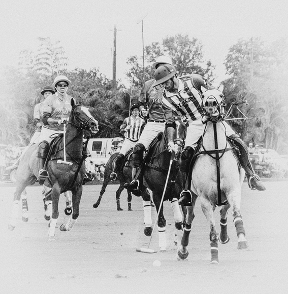 Dubai's Patron, Albwardy Dubai's Patron, Albwardy