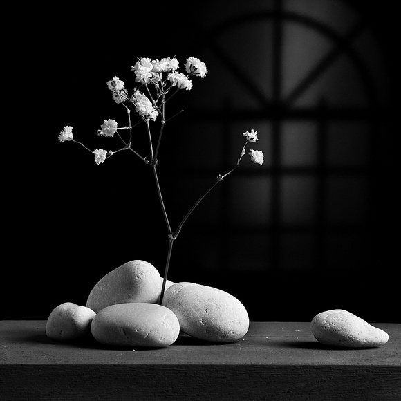 Gray Variations - Rocks Gray Variations - Rocks