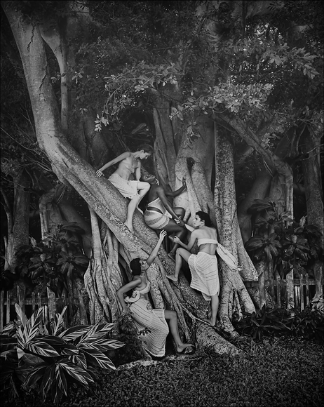 Allegory of the Banyon Tree Allegory of the Banyon Tree