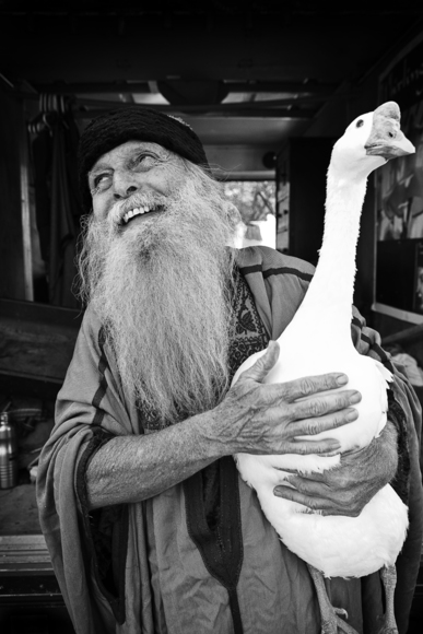 Oma: The Man with the Swan