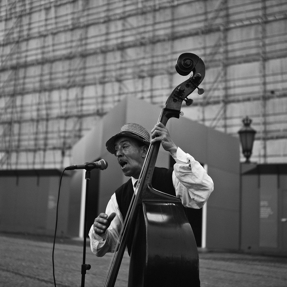 The Bass Violinist  The Bass Violinist