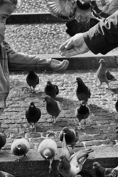 Charity Begins at Home Charity Begins at Home